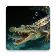�����������氲׿���ֻ���